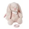 NATTOU Musical Lapin Pomme Alice Et Pomme