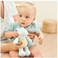 NATTOU Mini Musical Croco Roméo Roméo Et Jules -Nattou Soldes Boutique 550Wx550H 5414673950060 3