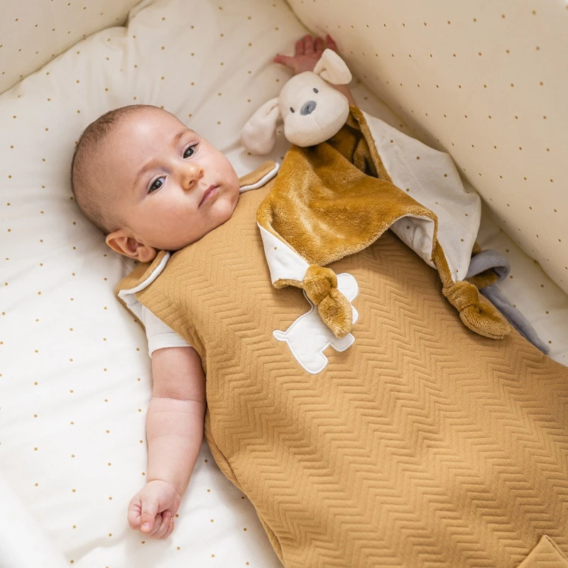 Maxi Doudou Chien Caramel NATTOU Charlie 4 Maxi Doudou Chien Caramel NATTOU Charlie – Image 2