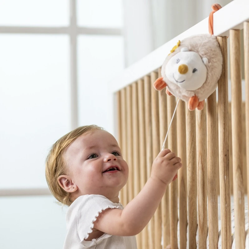 Mini Musical Hérisson Zoé NATTOU Mila Lana Et Zoë 4 Mini Musical Hérisson Zoé NATTOU Mila Lana Et Zoë – Image 2